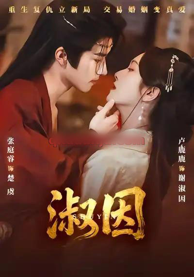 淑因(65集全)张庭睿&卢鹿鹿-搜外项目网