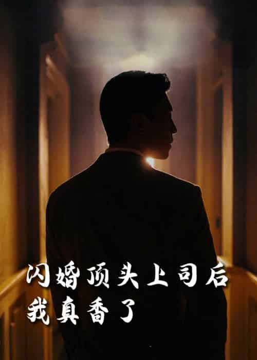 闪婚顶头上司后我真香了（80集全）潘悦铭＆刘星辰＆攒攒＆袁颖-搜外项目网