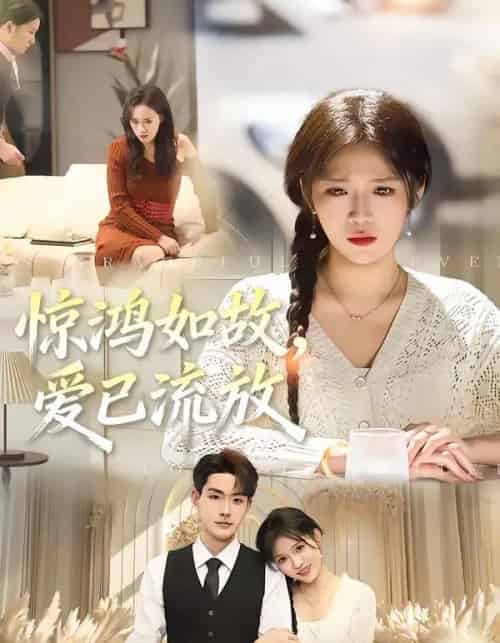 惊鸿如故,爱已流放(81集全)周艺凝&张昊-搜外项目网