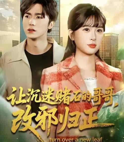 让沉迷赌石的哥哥，改邪归正（50集全）陈哲＆李慕瑶-搜外项目网