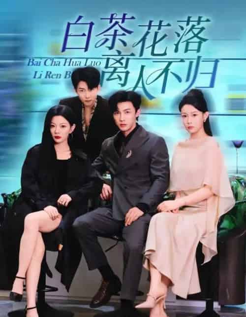 白茶花落离人（51集全）沈国洋＆林初-搜外项目网