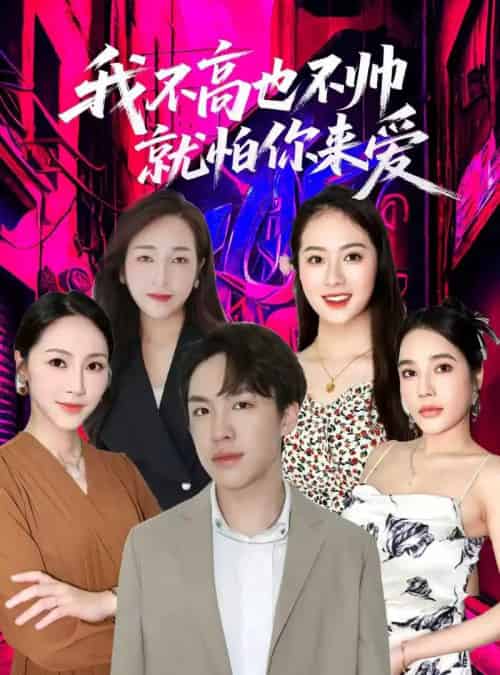 我不高也不帅就怕你来爱(78集全)穆萌&张昭洁-搜外项目网