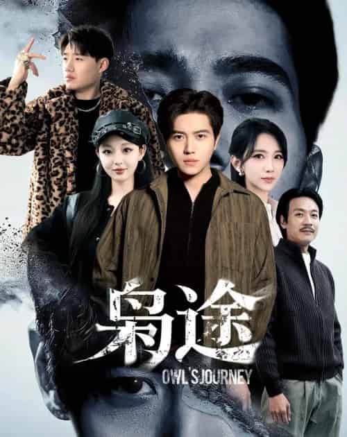 枭途＆龙抬头1：莫欺少年穷（100集全）姜腾＆高明君-搜外项目网