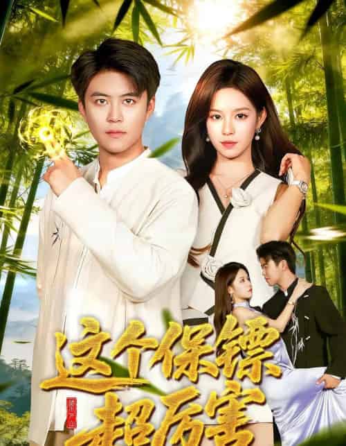 这个保镖超厉害（92集全）朱佳琪＆王依海-搜外项目网