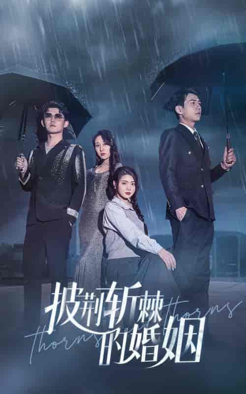 披荆斩棘的婚姻（70集）-搜外项目网