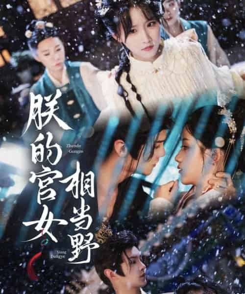 朕的宫女相当野(62集)宋柯君&王燕飞-搜外项目网