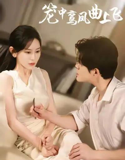 笼中鸾凤曲上飞（40集全）刘彦凯＆王艺鑫-搜外项目网