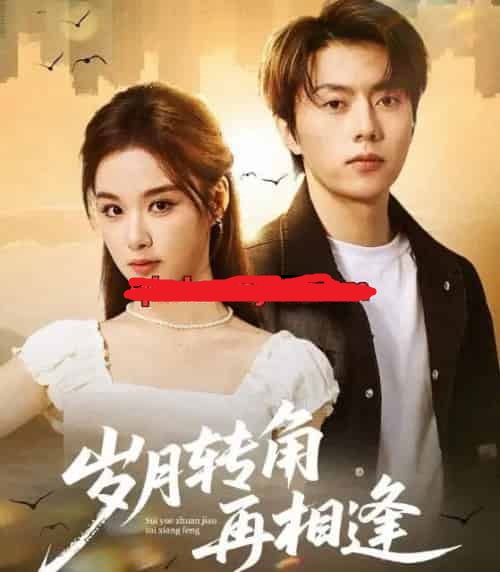 岁月转角再相逢(80集全)张磊&王宇婧-搜外项目网