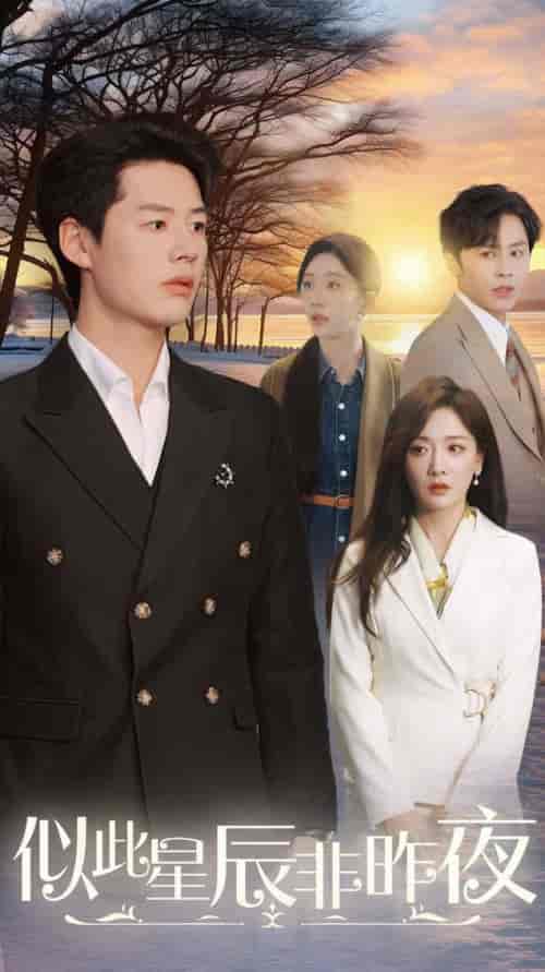 似此星辰非昨夜（36集全）李佑霖＆孟璐-搜外项目网