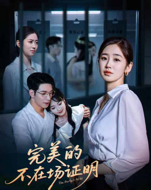 完美的不在场证明（51集）杨文＆杨雨萌-搜外项目网