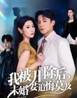 我被开除后，未婚妻追悔莫及（63集全）丁敬一-搜外项目网