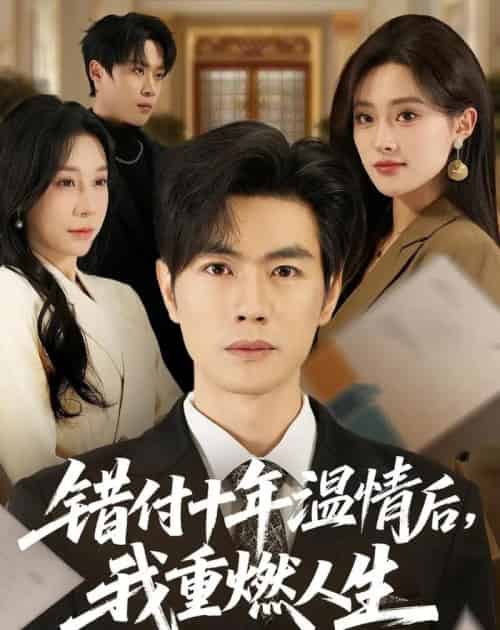 错付十年温情后,我重燃人生(80集全)李苗苗&及程微&王祉溢&朱冠苏-搜外项目网