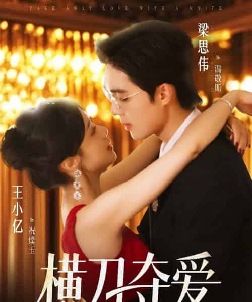 横刀夺爱(82集)王小亿&梁思伟-搜外项目网