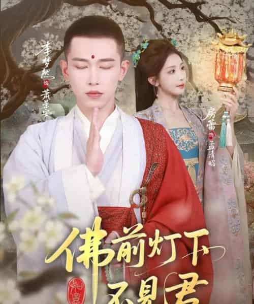 佛前灯下不见君(65集全)李梦然&房蕾-搜外项目网