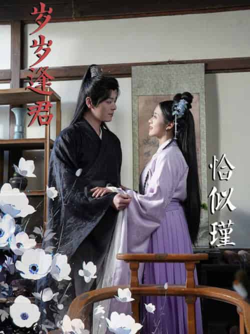 岁岁逢君恰似瑾(100集全)李沐杰&陈云汐-搜外项目网