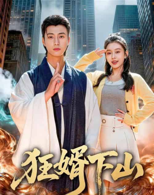 狂婿下山(80集全)韩金明&权睿-搜外项目网