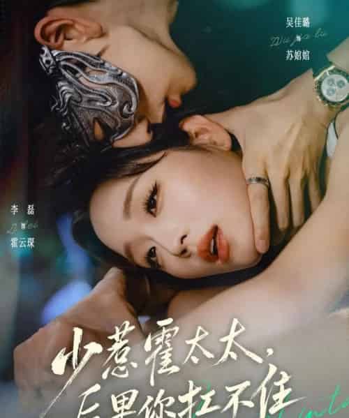 少惹霍太太，后果你扛不住（80集全）李磊＆吴佳璐-搜外项目网