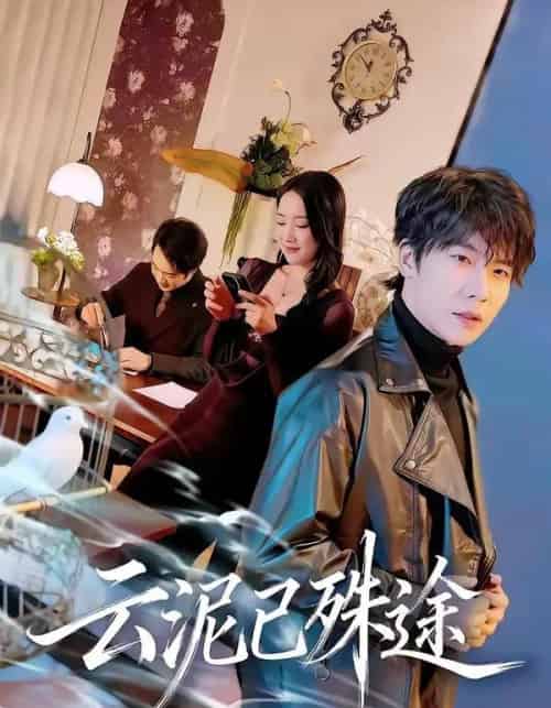 云泥已殊途（72集全）肖琪峰＆何子雯-搜外项目网