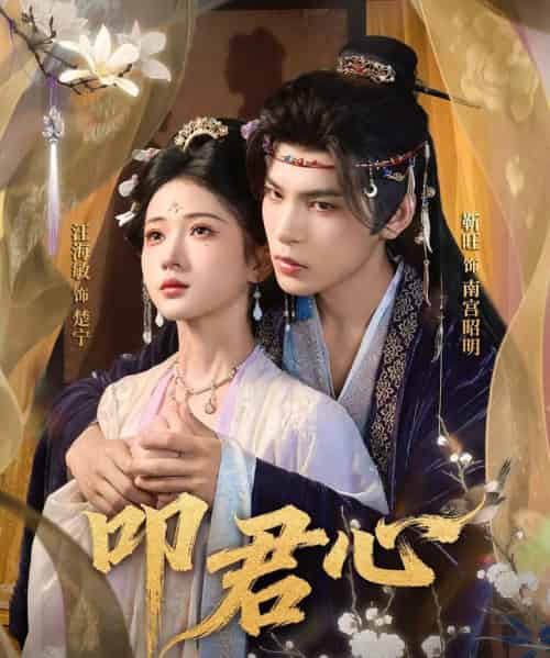 叩君心（64集全）靳旺＆汪海敏-搜外项目网