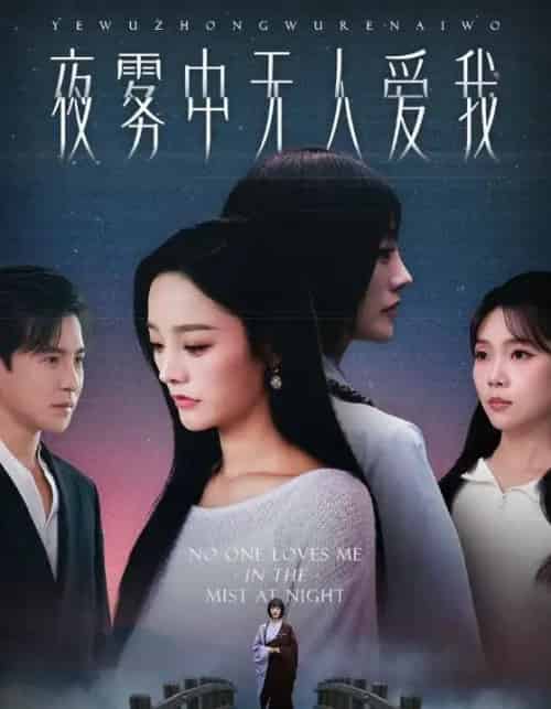 夜雾中无人爱我(72集全)李子锋&李胜楠-搜外项目网