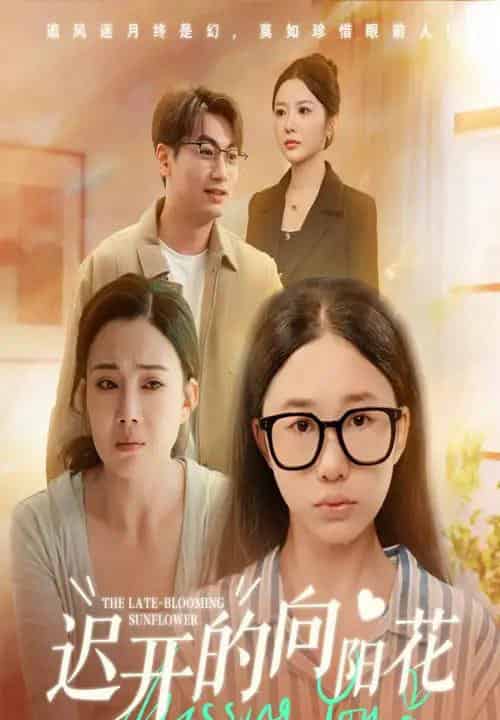 迟开的向阳花（60集全）梁昦子＆姜妮彤-搜外项目网