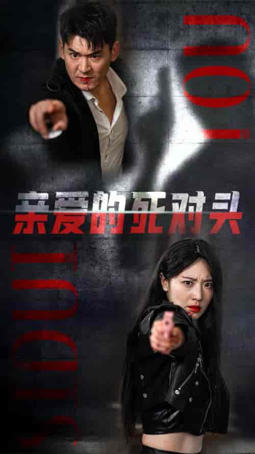 亲爱的死对头（35集全）-搜外项目网