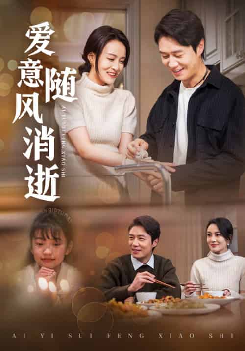 爱意随风消逝（47集全）陈裕＆叶心妍-搜外项目网