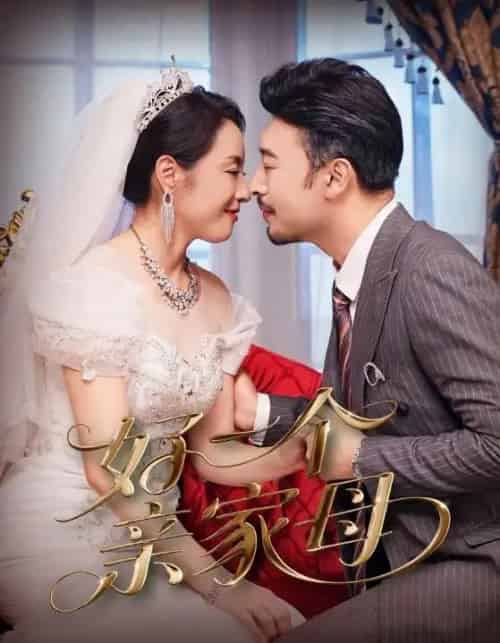 好一个亲家母（60集）王晓冬＆易馨 - 搜外短剧