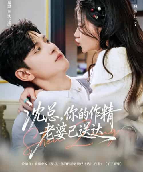 沈总，你的作精老婆已送达（94集全）王嘉懋＆兰岚-搜外项目网