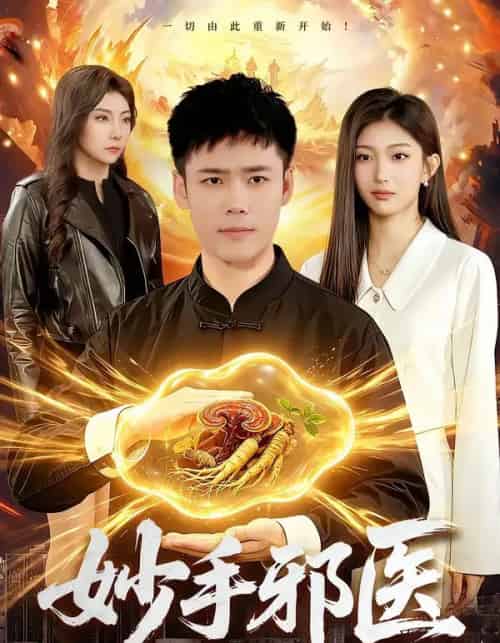 妙手邪医（111集全）王行宇＆林依燃-搜外项目网