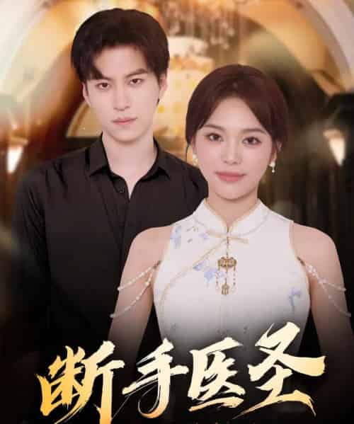 断手医圣(55集全)杜铁柱&韩悦-搜外项目网