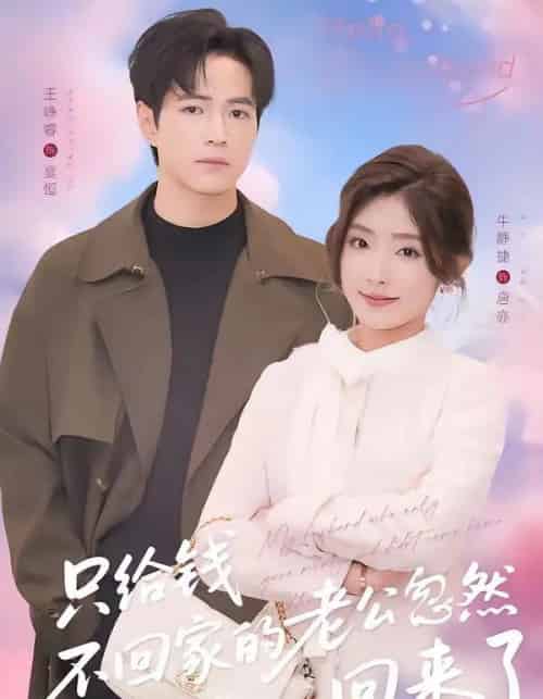只给钱不回家的老公忽然回来了（60集全）王峥睿＆牛静捷-搜外项目网
