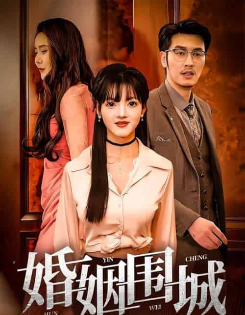 婚姻围城(37集)陈伟国,晓晓-搜外项目网