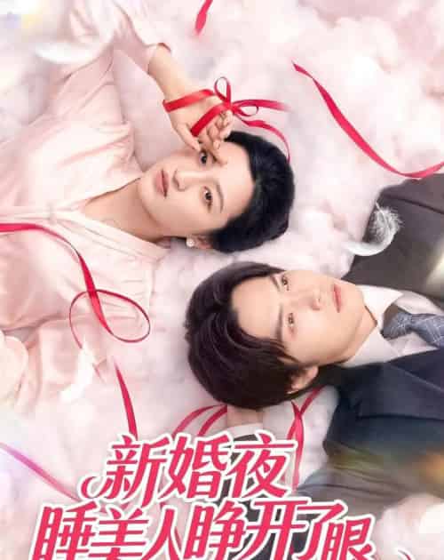 新婚夜睡美人睁开了眼（50集全）刘涵＆李玉豪＆廖文根-搜外项目网