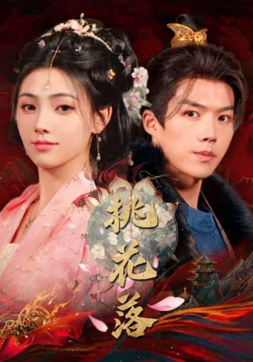 桃花落（48集全）白龙＆樊楚琦-搜外项目网