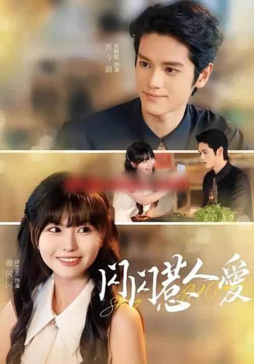 闪闪惹人爱(60集全)胡雪艺&张硕航-搜外项目网