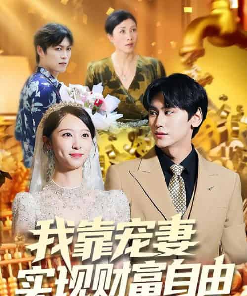 我靠宠妻实现财富自由（80集全）段少卿＆李汶朔-搜外项目网