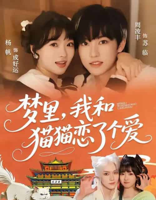 梦里，我和猫猫恋了个爱（72集全）周凌丰＆杨帆-搜外项目网