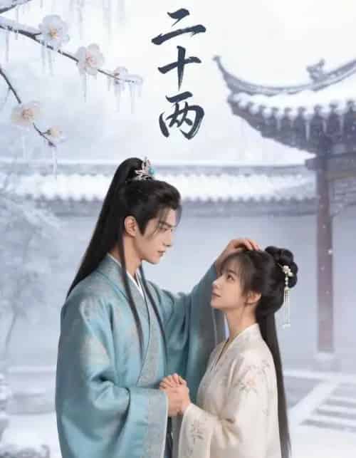 二十两（60集全）AI-搜外项目网