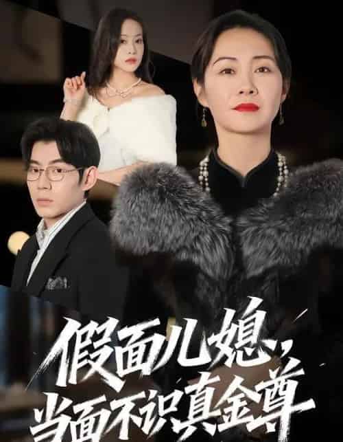 假面儿媳当面不识真金尊(56集全)苗天添&蒋君-搜外项目网
