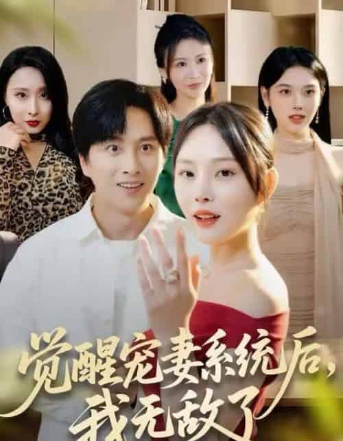 觉醒宠妻系统后，我无敌了（80集全）陈雷雷＆林非梵-搜外项目网