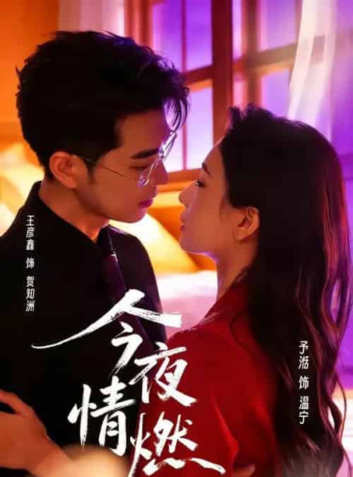 今夜情燃（80集全）王彦鑫＆张予湉-搜外项目网