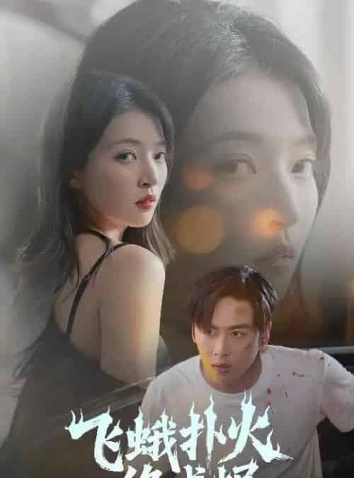 飞蛾扑火终成烬(60集)星硕&朱诗妤&李图图-搜外项目网