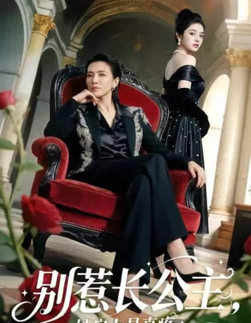 别惹长公主，她扇人是真疼（50集全）AI-搜外项目网