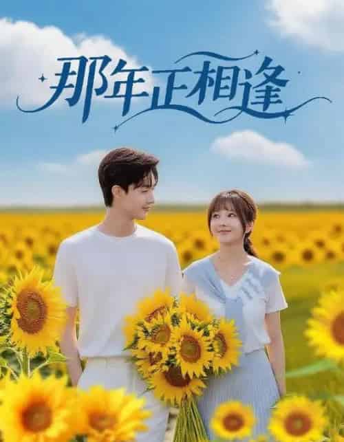 那年正相逢（60集全）沈国洋＆鹿蓝予-搜外项目网