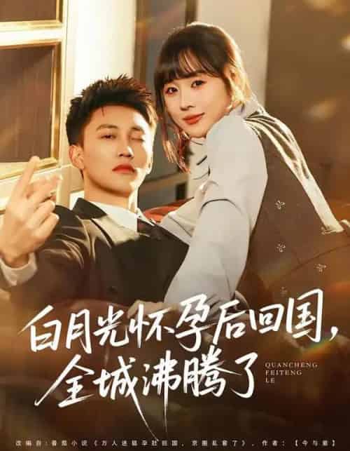 白月光怀孕后回国，全城沸腾了（67集全）王夏桥＆阮思瑶-搜外项目网