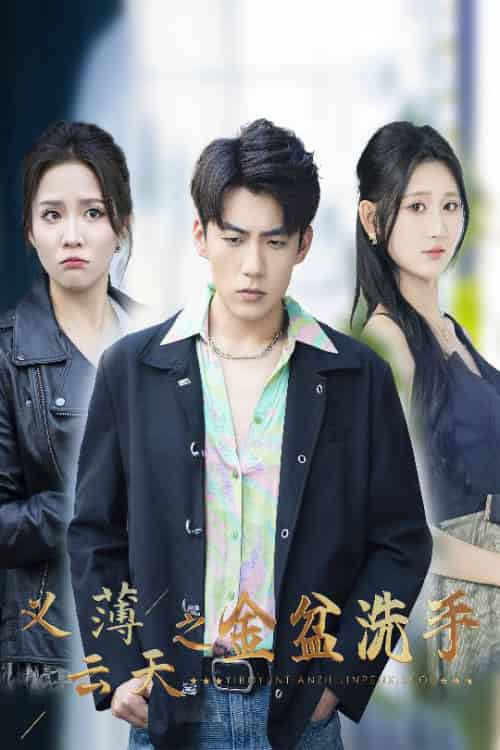 义薄云天之金盆洗手(42集全)杜培源&馨方&杨珊子-搜外项目网