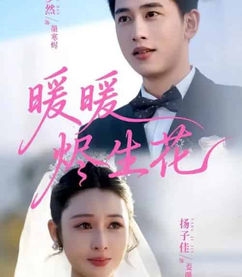 暖暖烬生花（65集全）李梦然＆扬子佳-搜外项目网
