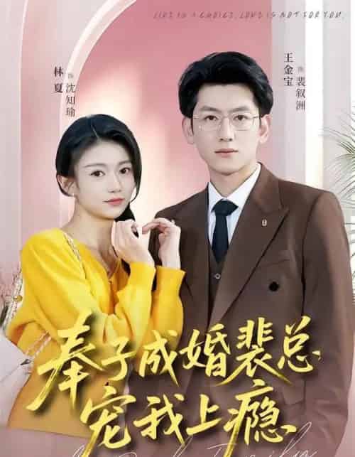 奉子成婚裴总宠我上瘾(59集全)王金宝&林夏-搜外项目网
