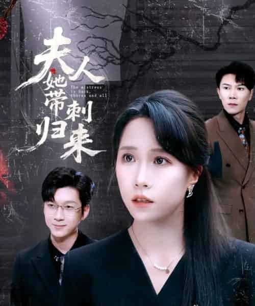 夫人她带刺归来（70集）陈伟华＆惠一秋-搜外项目网